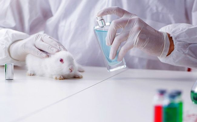 МОЗ пропонує заборонити тестувати косметику на тваринах