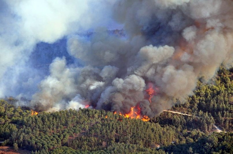 Рятувальники борються з пожежою у Зоні відчуження
