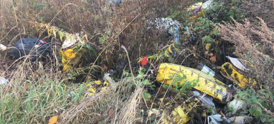 На Яворівщині виявили спалювання відходів та хаотичні несанкціоновані сміттєзвалища