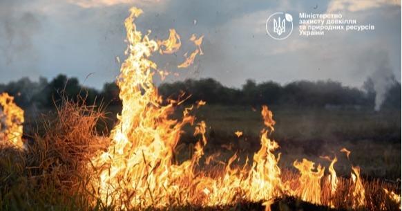 В Україні набув чинності Порядок випалювання сухої рослинності або її залишків