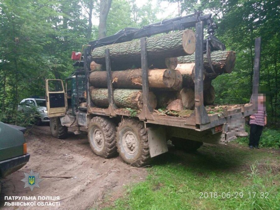 На Яворівщині виявили вантажівку із незаконно вирубаними дубами