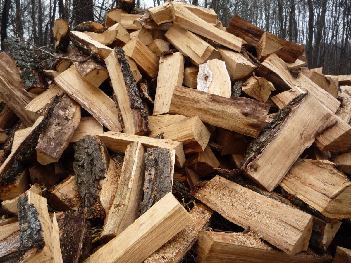 У лісгоспах Львівщини можна купити дрова дешевше, ніж у посередників