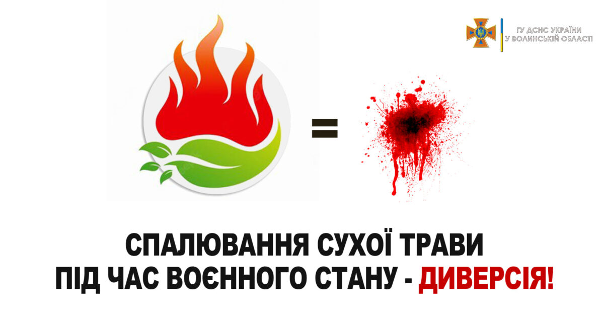 Львівщина посилюватиме контроль за несанкціонованими спаленнями сухостою на теренах області