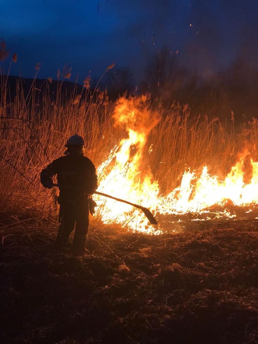 На Яворівщині вогнеборці ліквідували чотири пожежі сухої