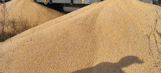 У Польщі розсипали з вагонів 160 тонн українського зерна