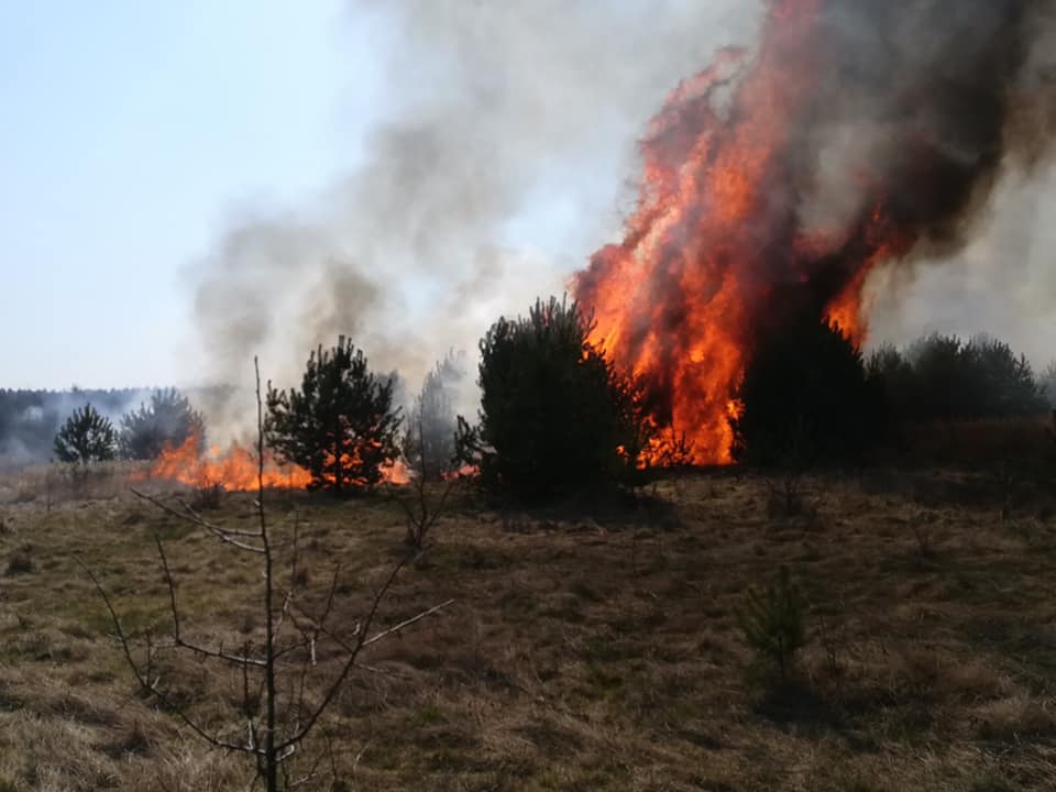 Вогнеборці Яворівщини ліквідували пожежу