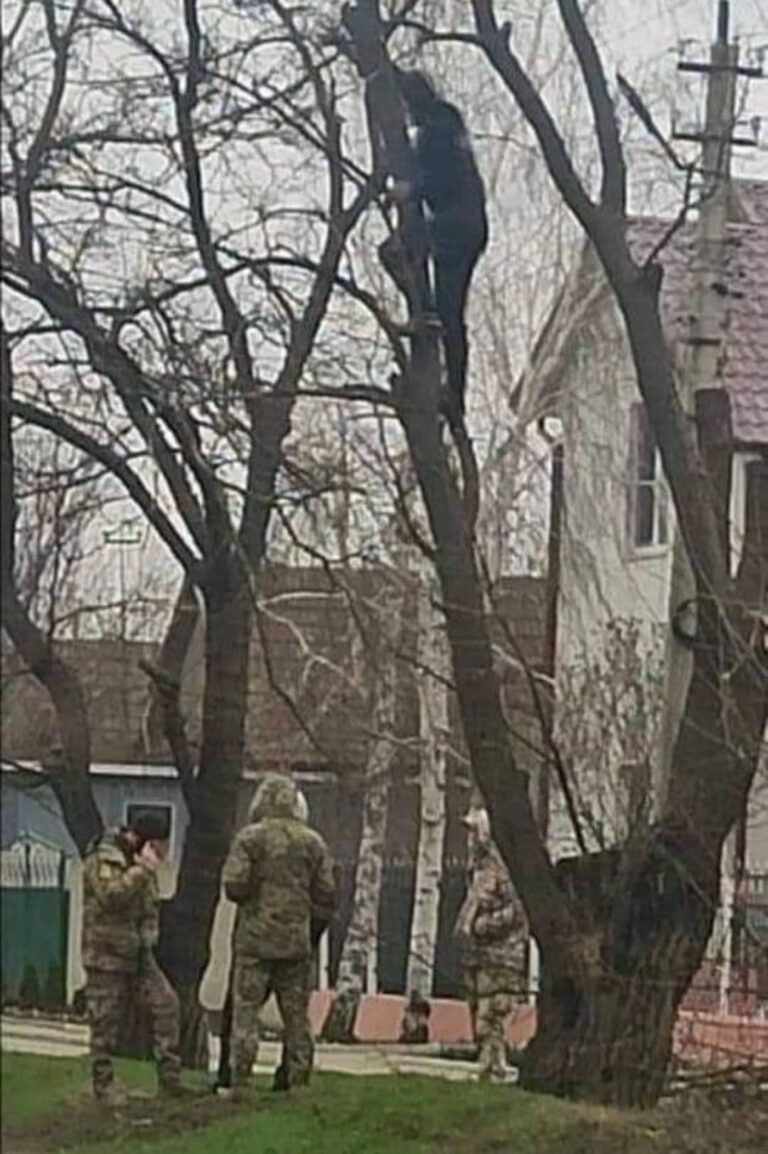 В Одесі чоловік сховався на дереві від ТЦК