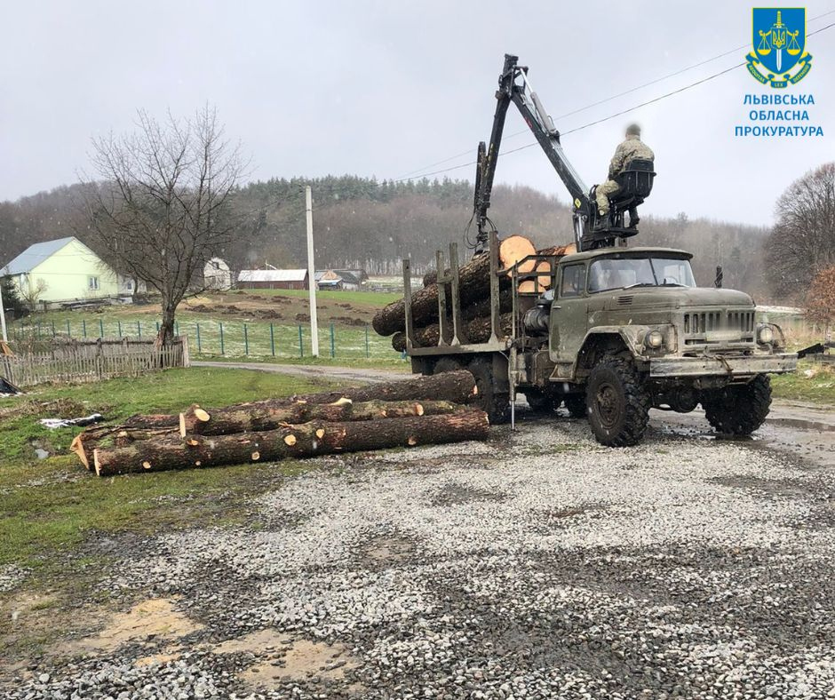 76 000 грн за відпуск деревини – на Яворівщині викрито в.о. лісогосподарського підприємства