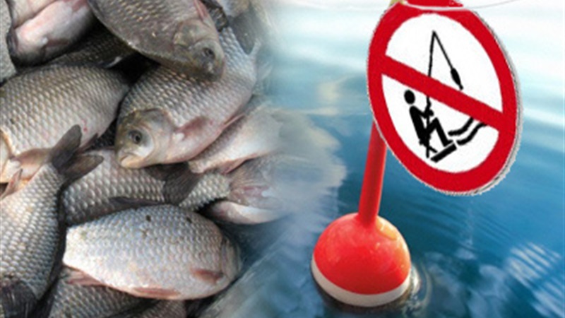В Україні заборонили вилов риби у зимувальних ямах
