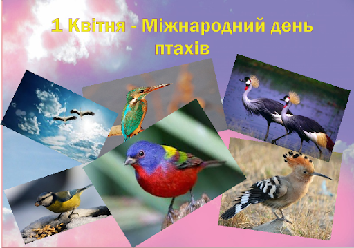 Міжнародний день птахів (День орнітолога)